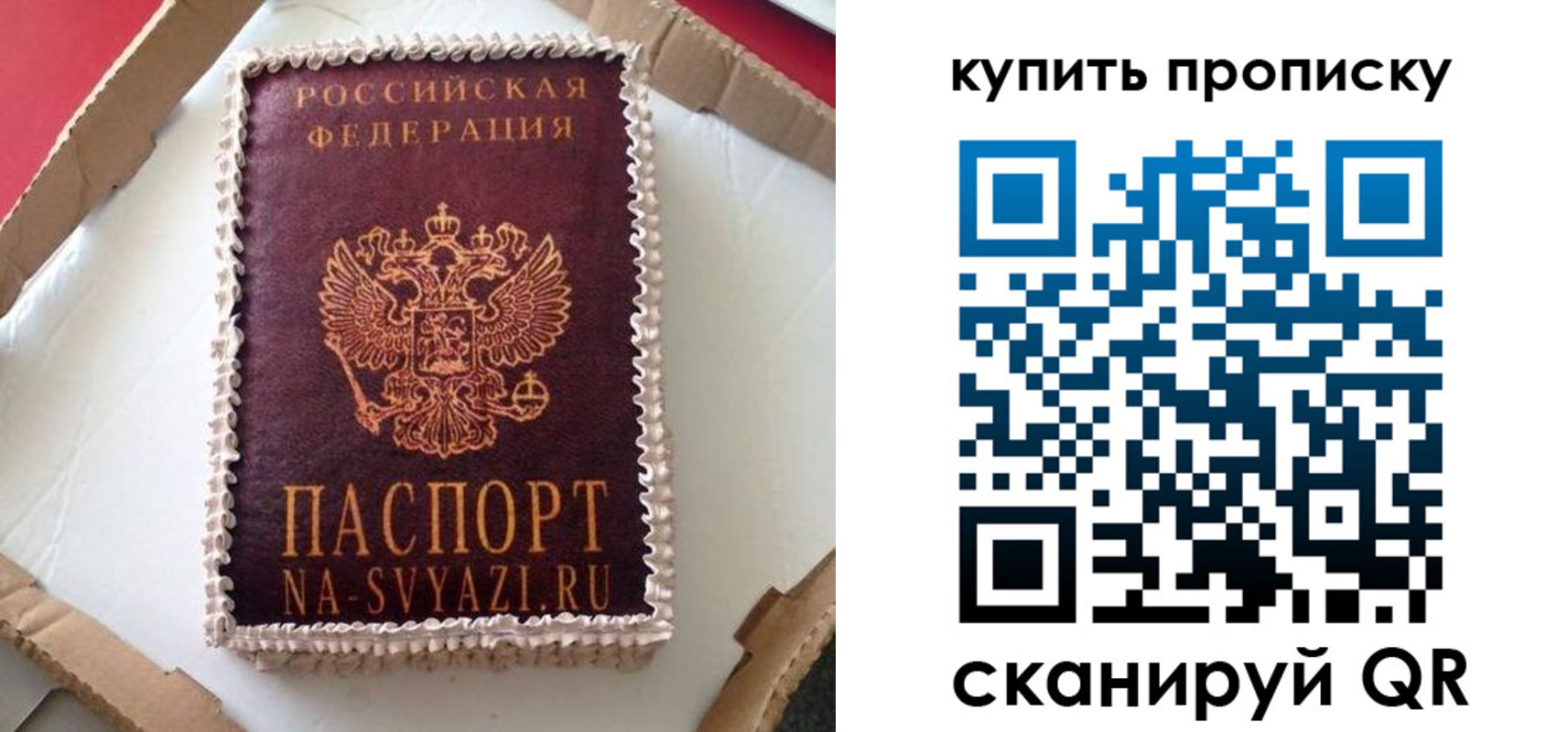 прописка штамп в Балтийске